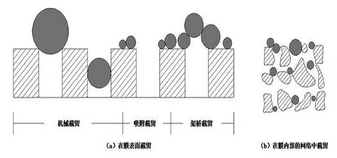 微濾膜處理技術